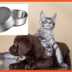 New dog, new tricks: 27 pet essentials for new dog and cat owners
