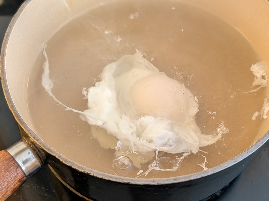 The wispy white of an unstrained egg in water