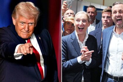 Trump hails ‘really big night’ for populists in German election after historic victory