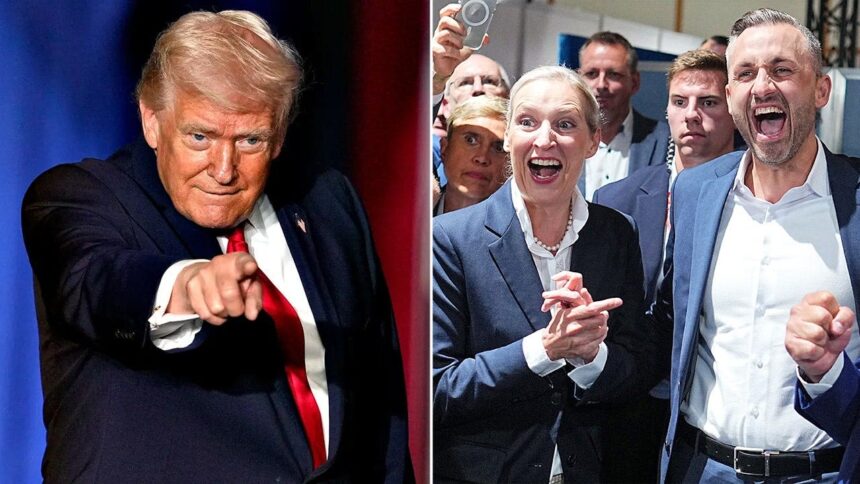 Trump hails ‘really big night’ for populists in German election after historic victory