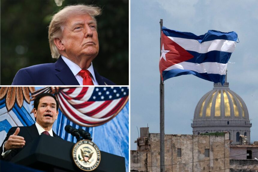 US Army Reserve asks whether units can be ready in as little as 3 months for Cuba action: report