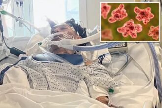 North Carolina teen dies from rare brain-eating amoeba typically linked to freshwater swimming