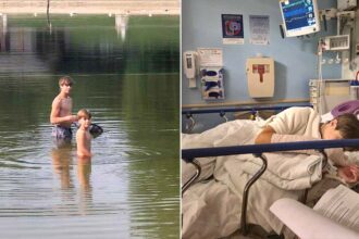 Maryland family speaks out after ‘4-foot-long’ rabid beaver attacks 13-year-old boy