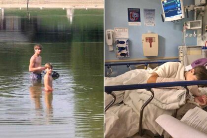 Maryland family speaks out after ‘4-foot-long’ rabid beaver attacks 13-year-old boy
