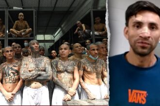 Machete-wielding MS-13 gangster wanted for murder walks free after Biden-appointed judge releases him: DHS