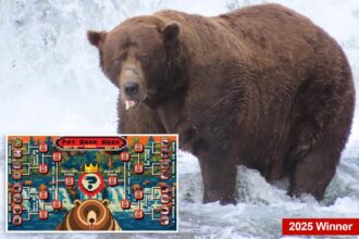 Fat bear week kicks off its 12th year — meet the contenders