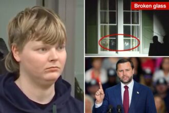 Hammer wielding Ohioan pleads guilty to smashing and vandalizing JD Vance’s Cincinnati home