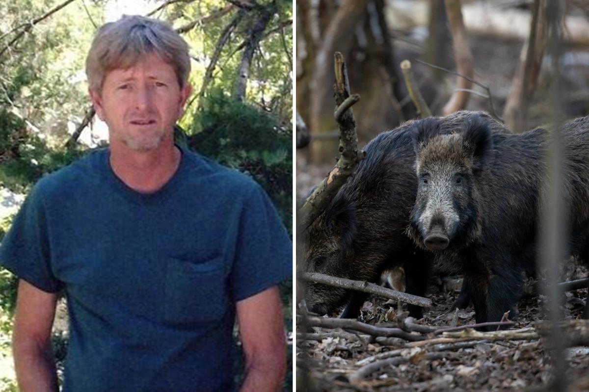 Recently retired Oklahoma man, 63, dies after driving into pack of wild hogs