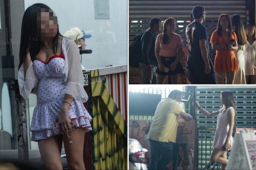 Exclusive | Prostitution busts plunge 60% — but hookers multiply — in NYC’s infamous ‘Market of Sweethearts’