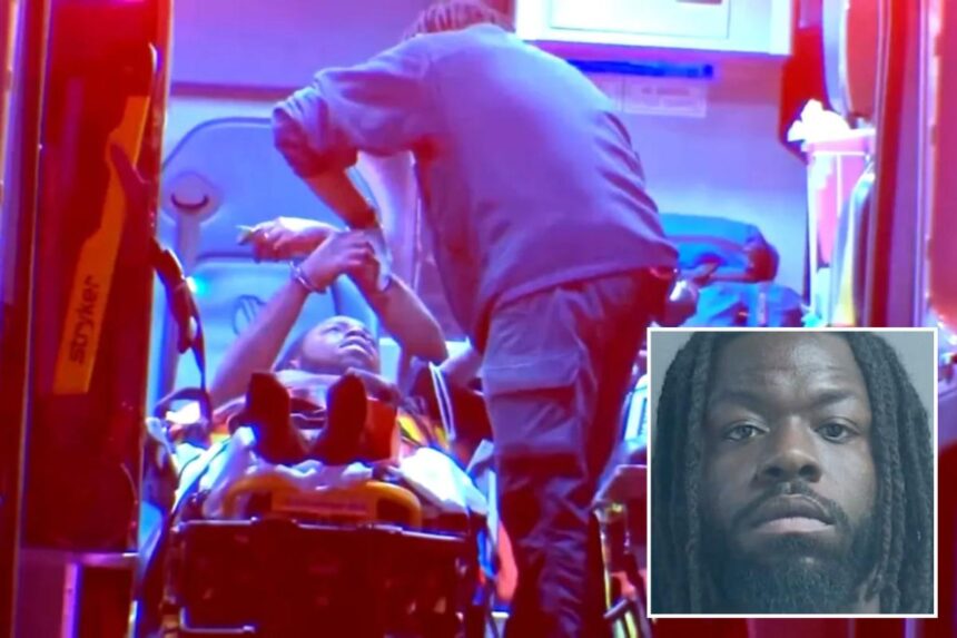 Lunatic charged in murder of Pittsburgh doctor Idris Evans was arrested 2 months earlier for another crime