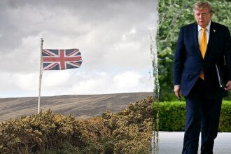 Ex-Pentagon official urges US to ‘squeeze’ UK on defense amid Falklands furor