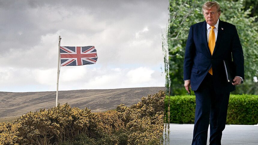Ex-Pentagon official urges US to ‘squeeze’ UK on defense amid Falklands furor