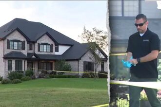 Suburban Illinois boy dies in suspected domestic homicide as neighbors fear another Lindsay Clancy case