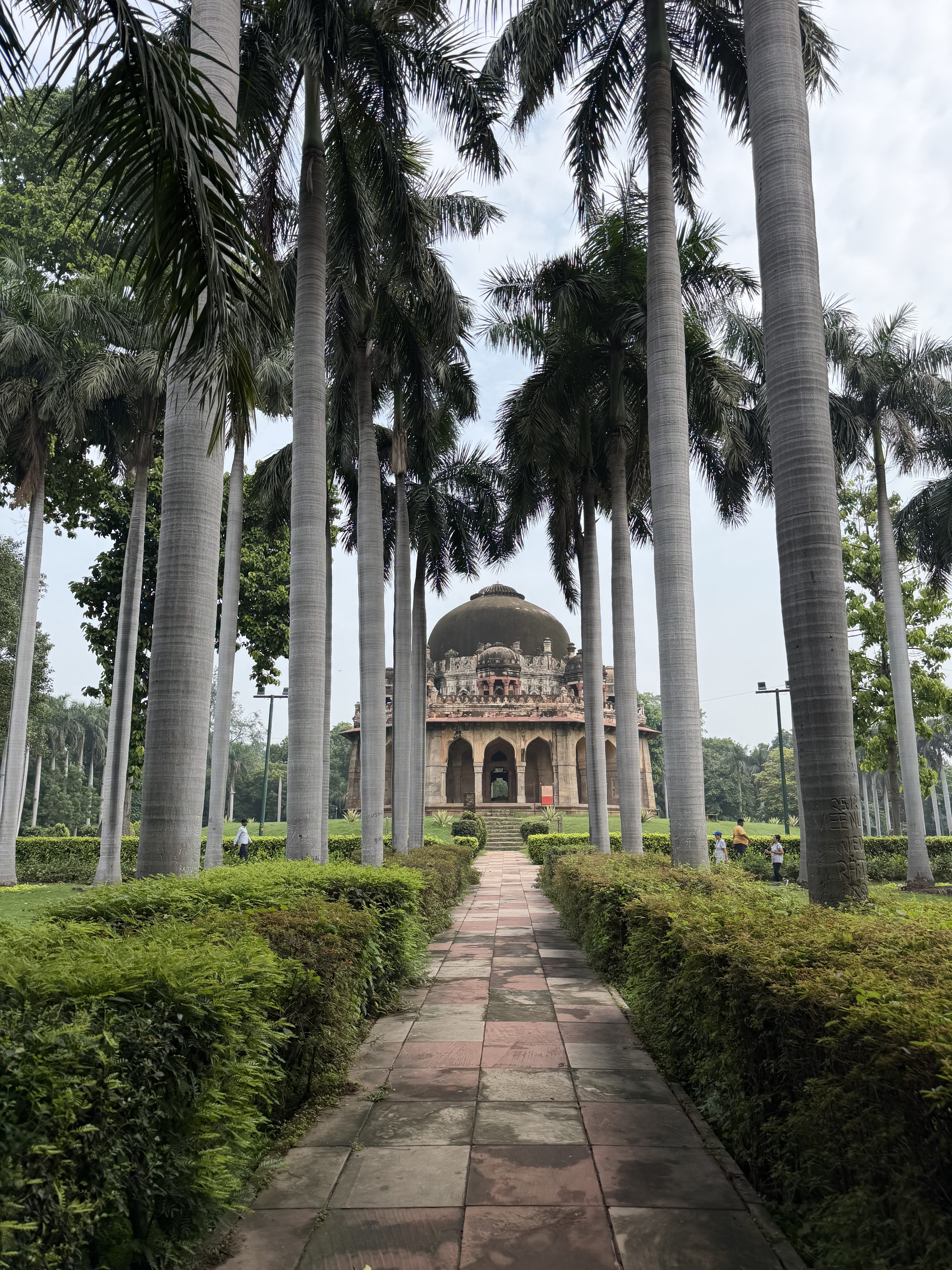 Palm trees and path