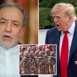 Iran ready for ‘doomsday war’ after Trump rejects cease-fire proposal — but still wants peace: Tehran negotiator