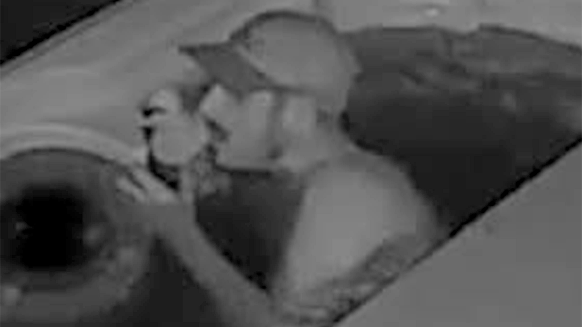 Man who was seen infatuated with a rubber duck