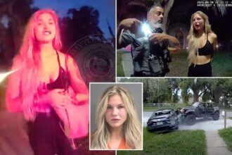 Drunk Florida driver crashes into parked car, punches owner — tells cops ‘I thought we were friends’