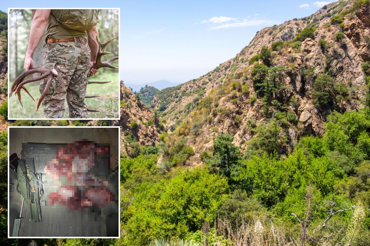 Blood-soaked California poachers arrested after cops make horrifying discovery