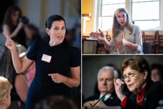 Sen. Jeanne Shaheen’s daughter Stefany wins nasty primary for New Hampshire House seat