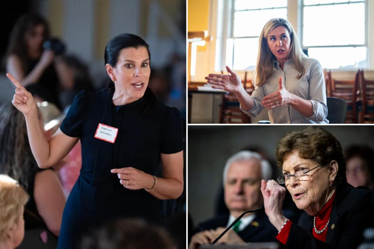 Sen. Jeanne Shaheen’s daughter Stefany wins nasty primary for New Hampshire House seat
