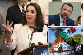 ‘Squad’ Democrat slammed by Trump admin for most ‘radical’ plan targeting ICE yet