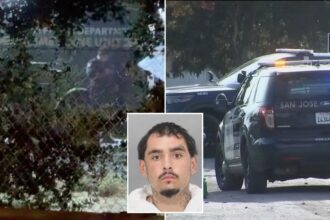 Serial killer fears as California man flags down cops and leads them to multiple bodies