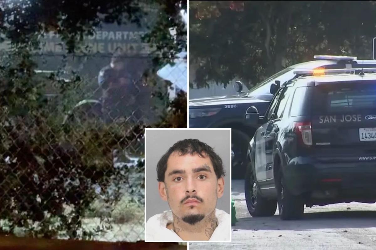 Serial killer fears as California man flags down cops and leads them to multiple bodies