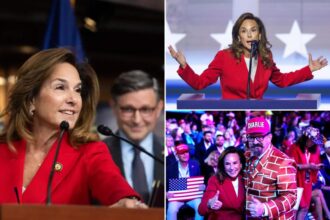 Exclusive | Pol behind the GOP’s ‘common sense vs. communist crazy’ messaging strategy revealed to be Lisa McClain