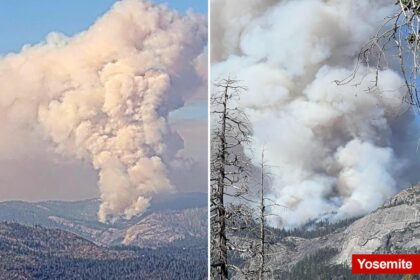 Fast-moving wildfire erupts in Yosemite National Park
