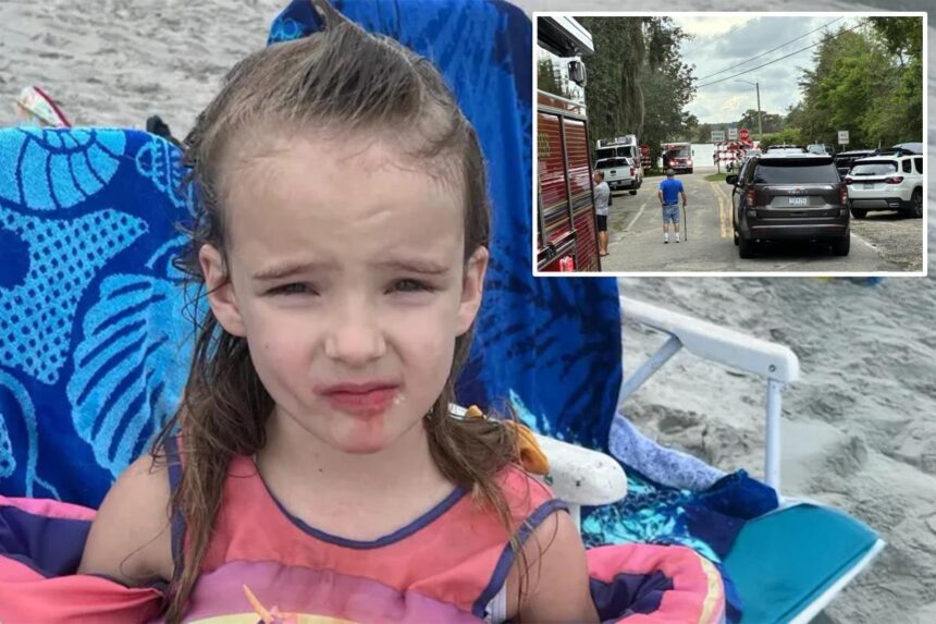 Nonverbal 5-year-old found dead in South Carolina waterway after wandering from vacation rental home