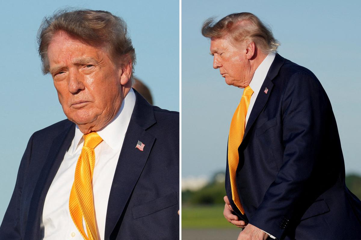 President Trump debuts new brown hairdo — and people are shocked