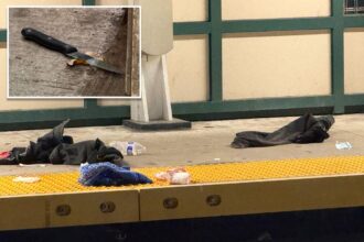 Madman fatally stabs straphanger, 59, during argument on rush-hour NYC subway train: police
