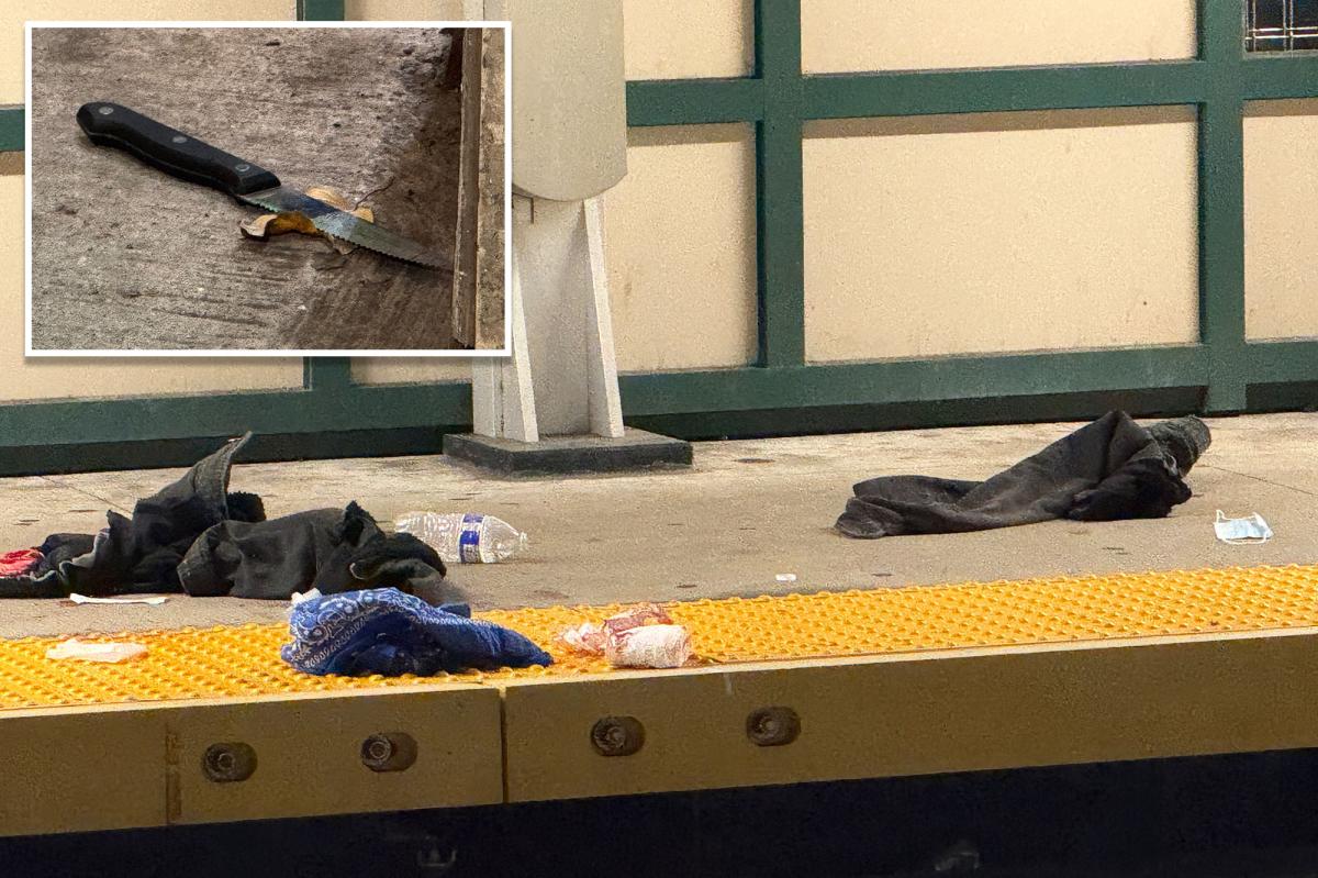 Madman fatally stabs straphanger, 59, during argument on rush-hour NYC subway train: police